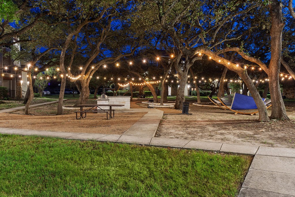 a park with trees and strings of lights