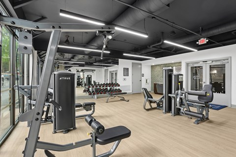 A gym with a variety of equipment including a treadmill, weights, and a bench press.