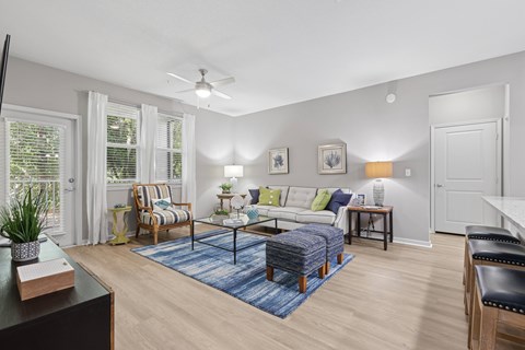 A living room with a blue rug and a white couch.