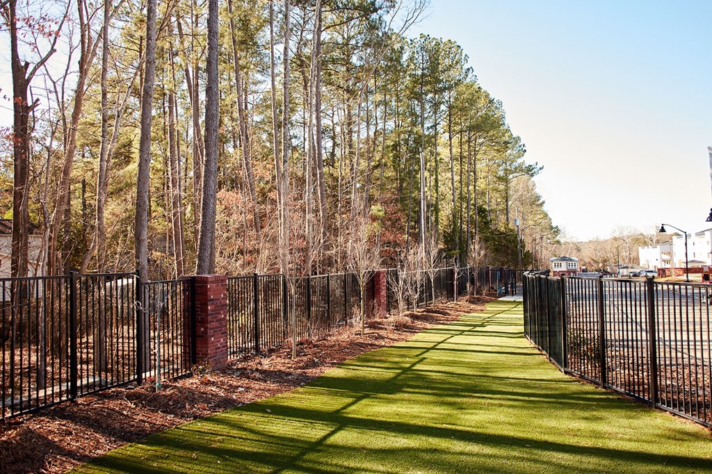 dog run fenced in near wooded area