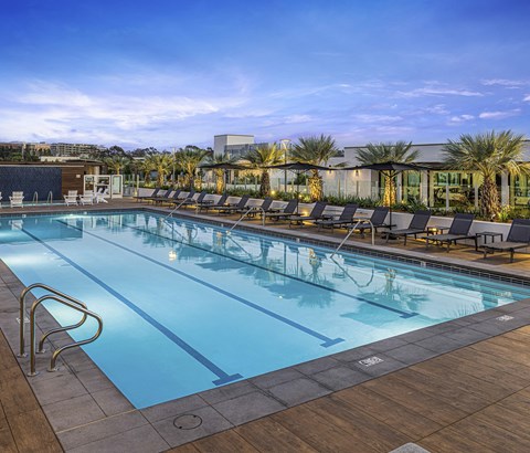 A large outdoor swimming pool with lounge chairs and palm trees in the background.