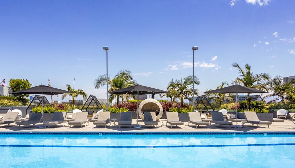A pool with chairs and umbrellas is surrounded by palm trees.
