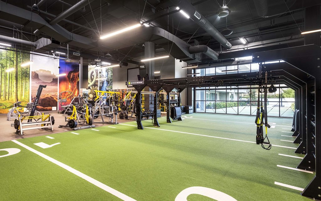 A gym with a green floor and various exercise equipment.
