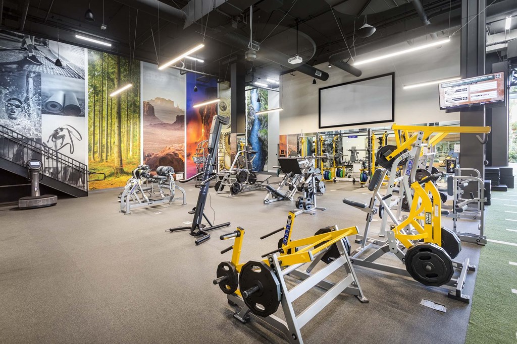A gym with a variety of exercise equipment including a leg press machine.