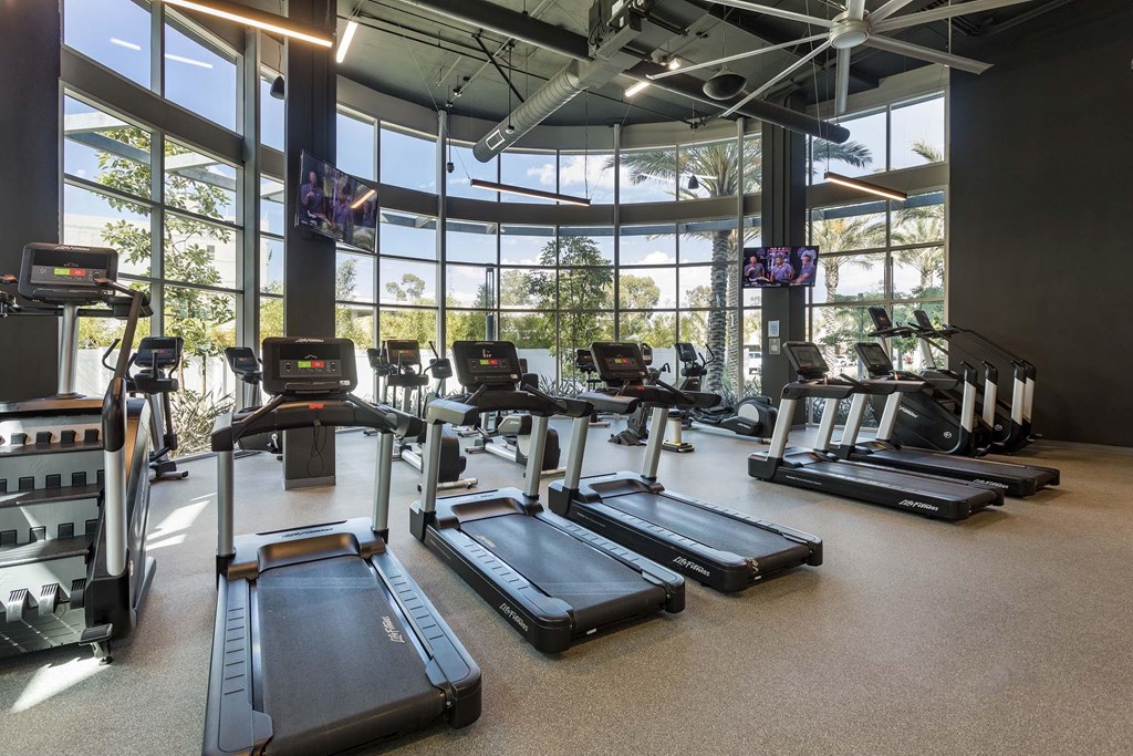 A gym with treadmills and elliptical machines.