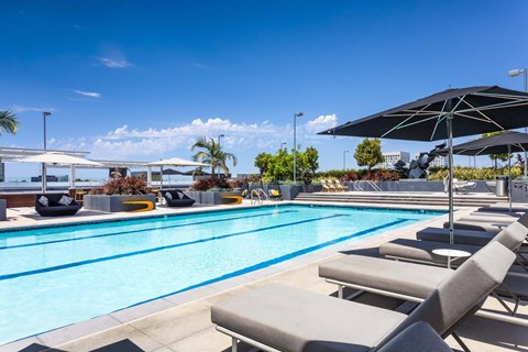 Rooftop swimming pool with lounge chairs and umbrellas at Elements Apartments, California, 92612
