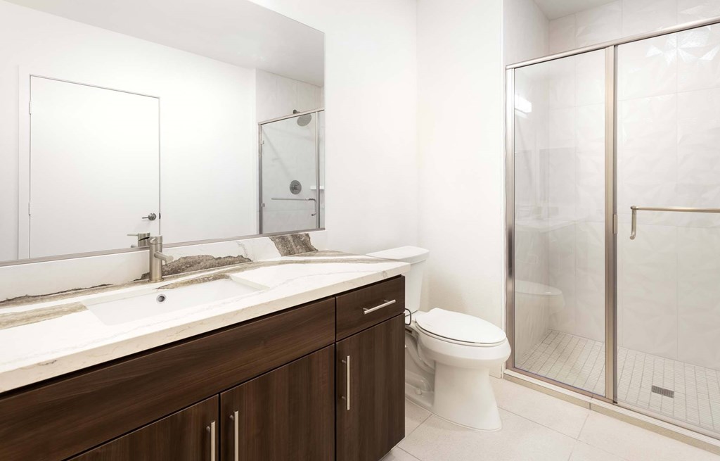 A modern bathroom with a white toilet, a sink with a mirror above it, and a walk-in shower.