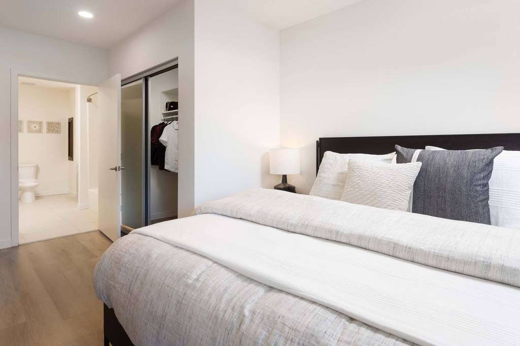 A bedroom with a large bed and a closet.