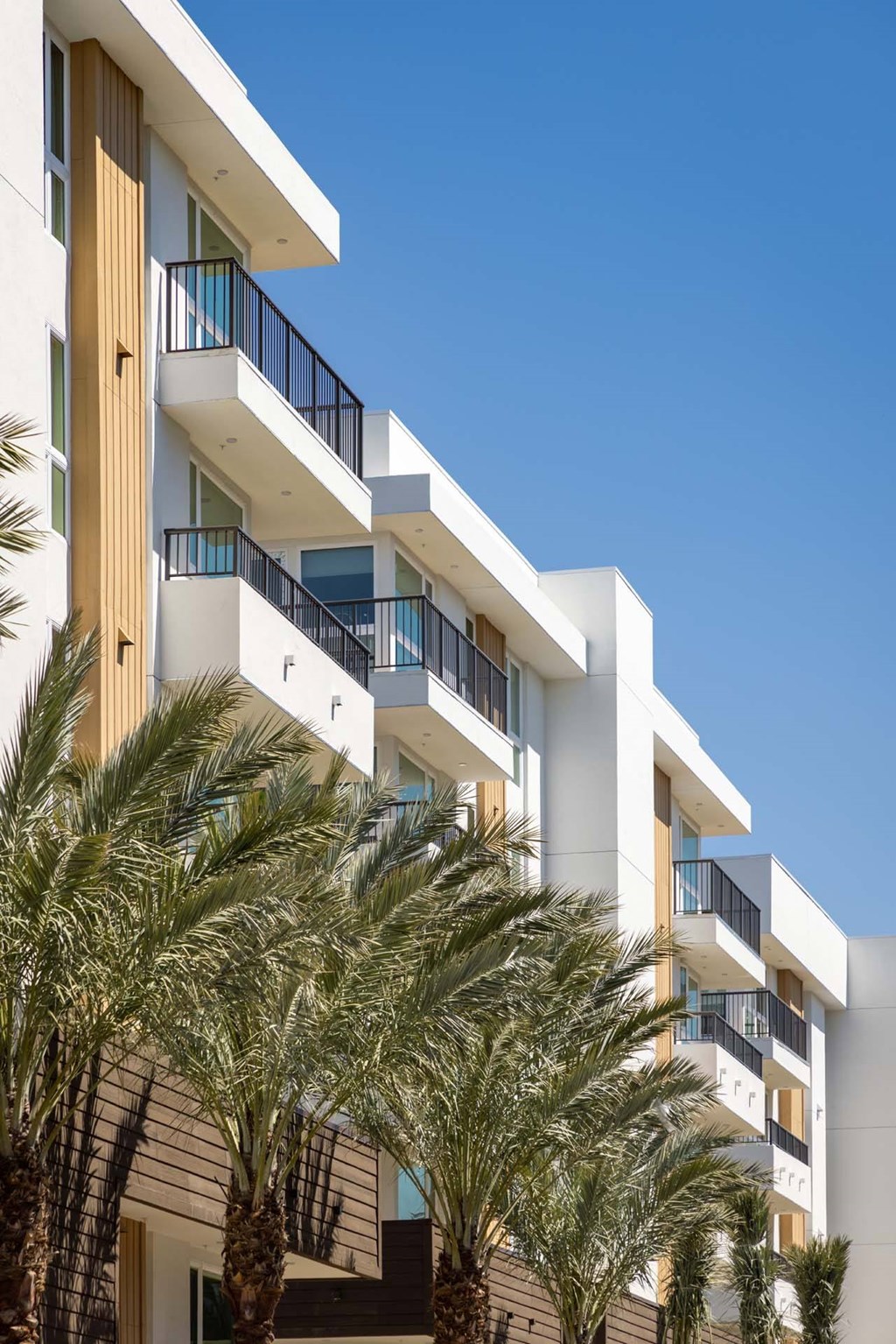 A white building with balconies and palm trees in front.