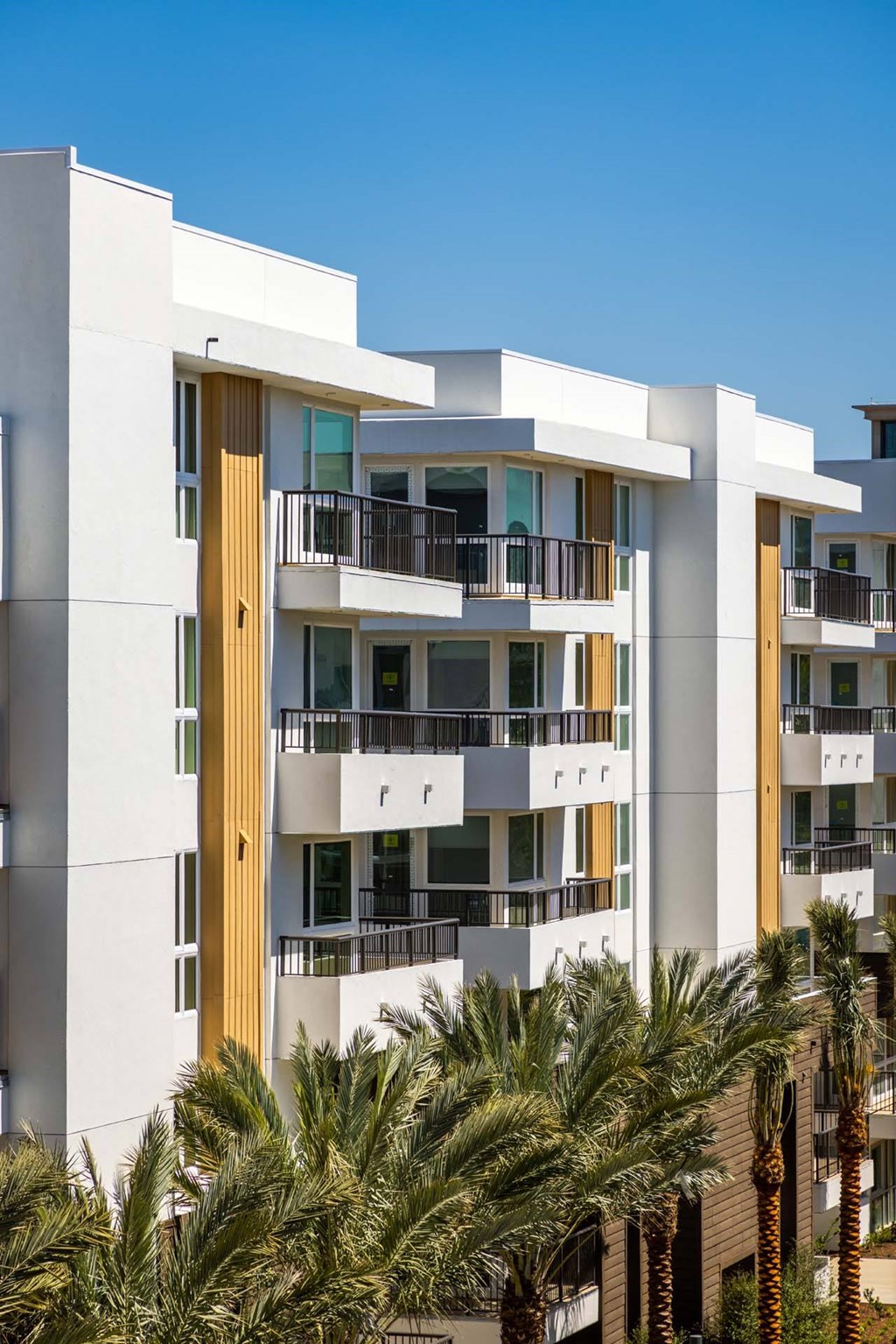 A white building with balconies and windows is surrounded by palm trees.