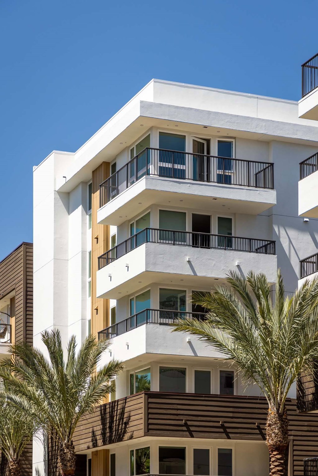 A tall white building with balconies and windows is surrounded by palm trees.