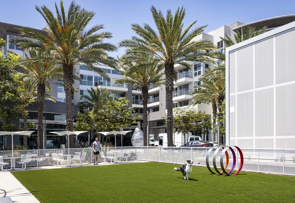 A dog is standing in a grassy area in front of a white building with palm trees.