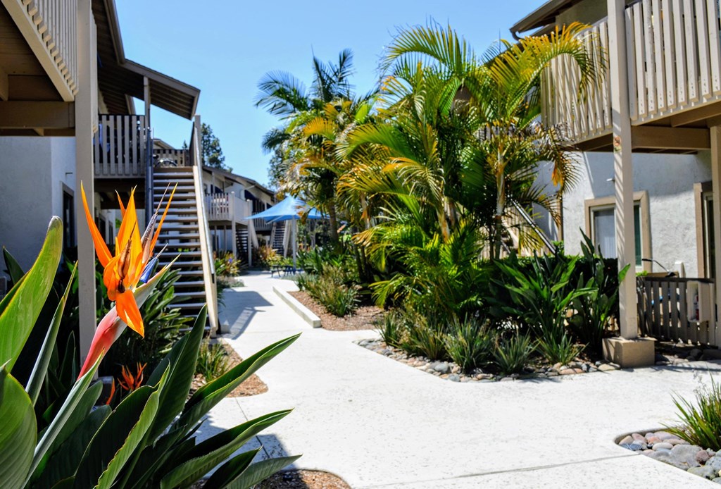 Courtyard View at La Jolla Canyon Apartments, San Diego, CA 92121