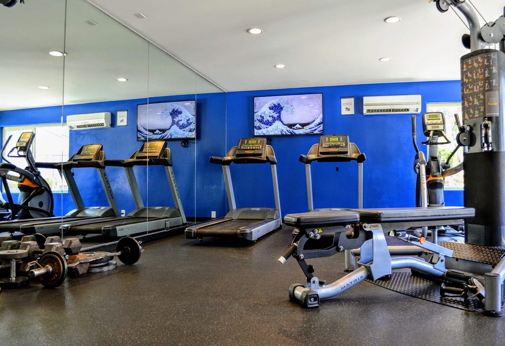 A gym with treadmills and exercise equipment.at La Jolla Canyon Apartments, San Diego