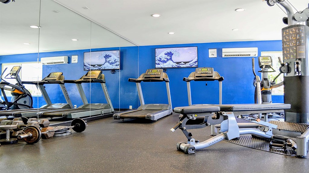 Gym at La Jolla Canyon Apartments, California
