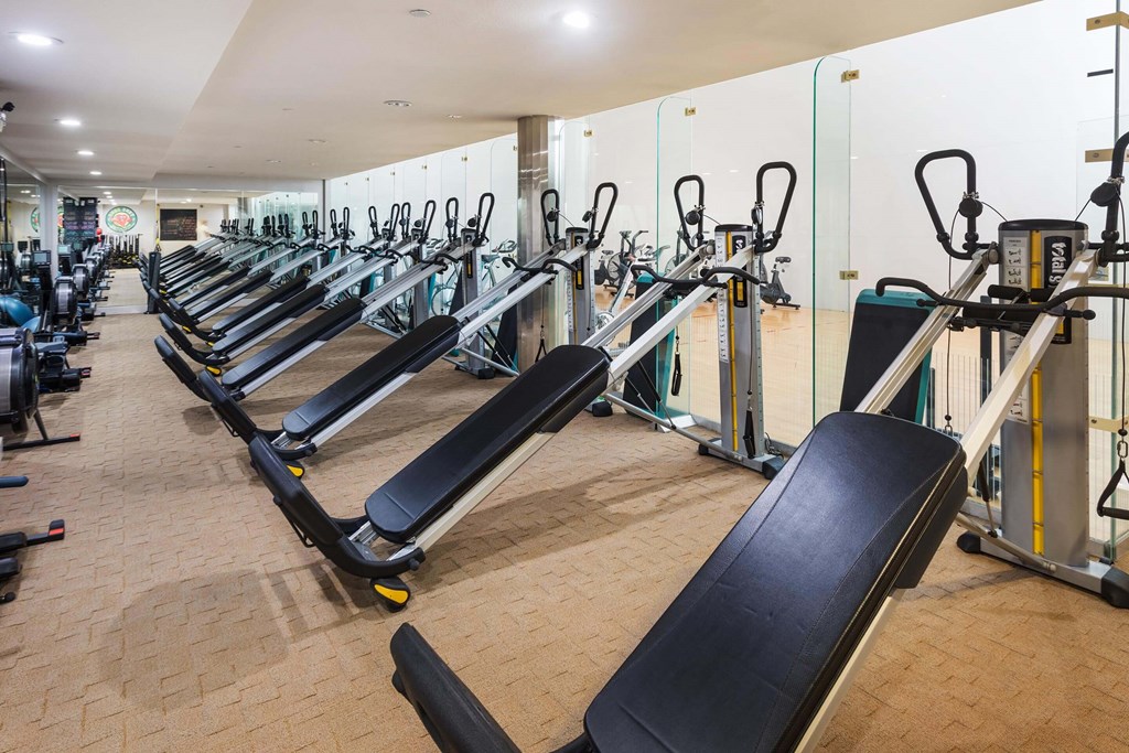 A gym with treadmills and elliptical machines. at La Jolla Crossroads Apartments, San Diego, 92122