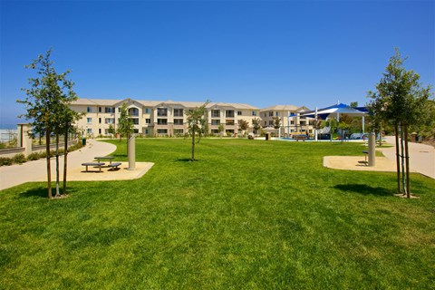 Community park with picnic area and walking paths at Torrey Gardens Apartments, San Diego, CA