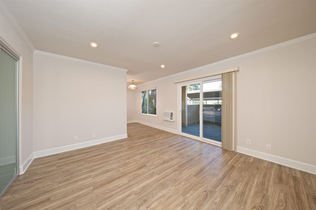 A room with wooden flooring and a sliding glass door.
