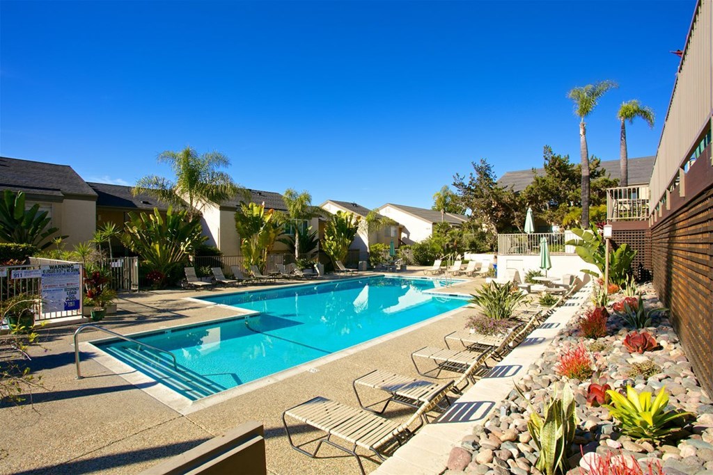 A pool surrounded by chairs and plants.