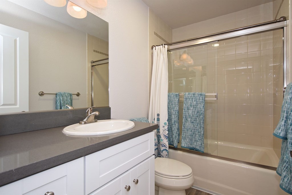 A bathroom with a white toilet, a sink, and a shower.