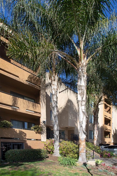 Exterior View of Building at Vineland Gardens, Studio City, California