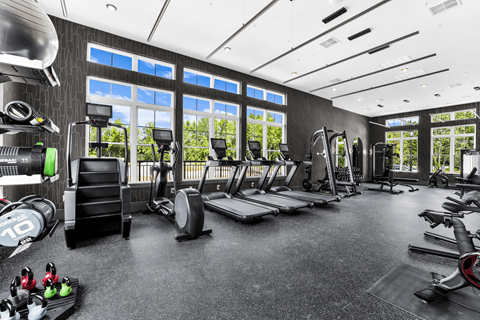 A gym with a variety of equipment including treadmills, weights, and exercise machines.