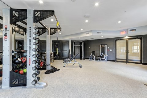 A gym with a variety of equipment including dumbbells and weight plates.
