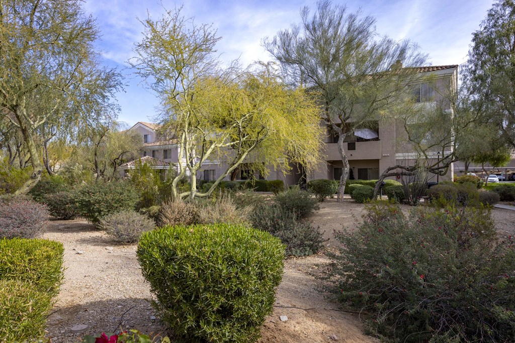 Courtyard Garden at Vintage at Scottsdale, SCOTTSDALE, 85260
