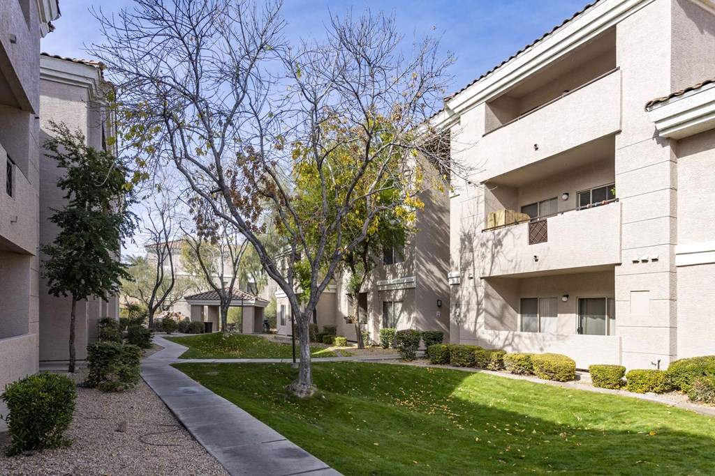 Grassy Area at Vintage at Scottsdale, SCOTTSDALE, 85260