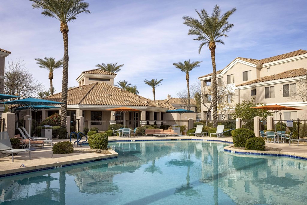 A large swimming pool surrounded by palm trees and lounge chairs.at Vintage at Scottsdale, SCOTTSDALE Arizona