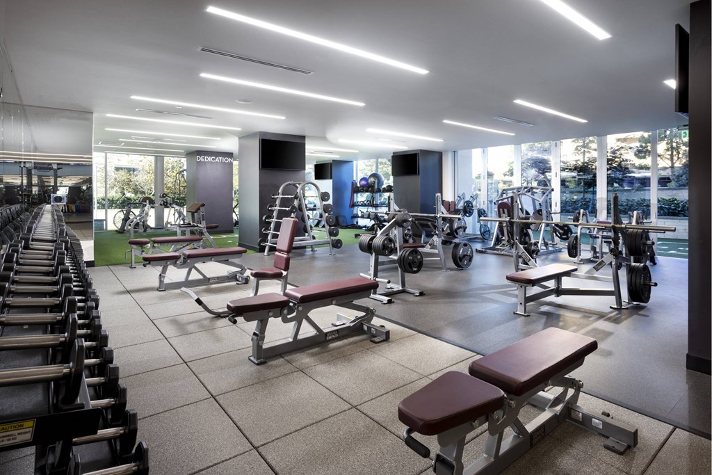 A gym with a variety of equipment including dumbbells, benches, and weights. at LUX by Garden*, San Diego, California