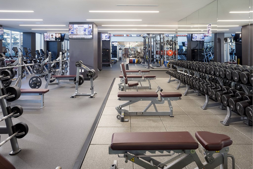 A gym with a variety of equipment including dumbbells, benches, and weightlifting machines. at LUX by Garden*, San Diego, 92122