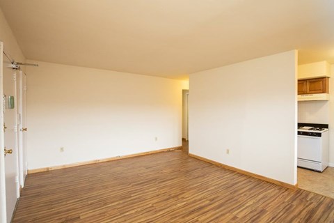 A room with wooden flooring and a white wall with a door and a small cabinet.