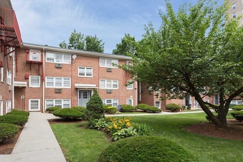A tree in front of a brick building with a walkway in front of it.
