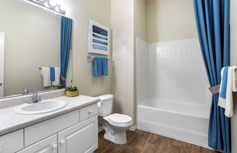 Bathroom With Bathtub at Costa Verde Village Apartments, San Diego