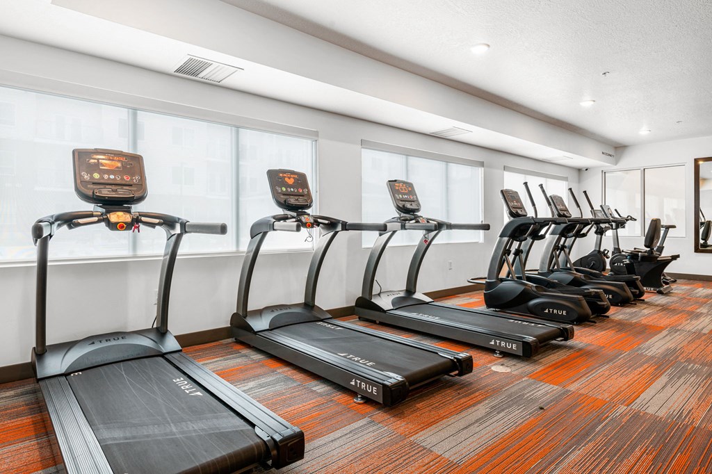 the apartments at masse corner 205 fitness room