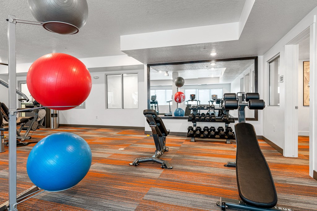 a workout room with weights and other exercise equipment at trillium apartments in fairfax