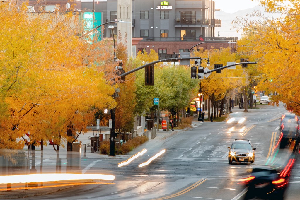 a car driving down a city street with yellow trees