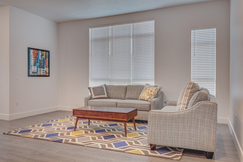 A living room with a couch, chair, and a colorful rug.
