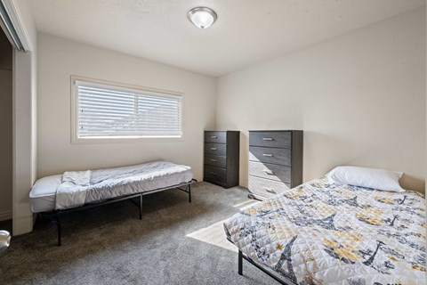 A bedroom with two beds and a dresser.
