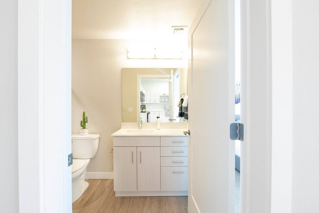 a bathroom with a toilet and a sink and a mirror