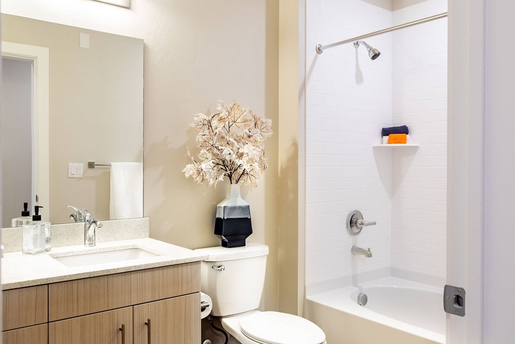 a bathroom with a shower toilet and sink and a mirror