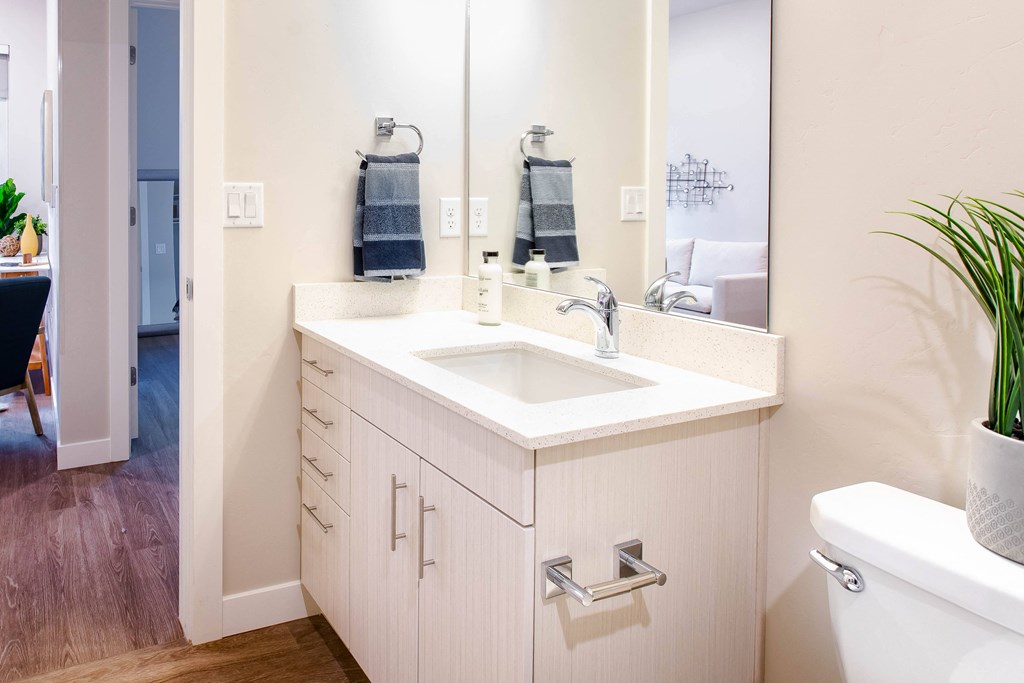 a bathroom with a white sink and a mirror