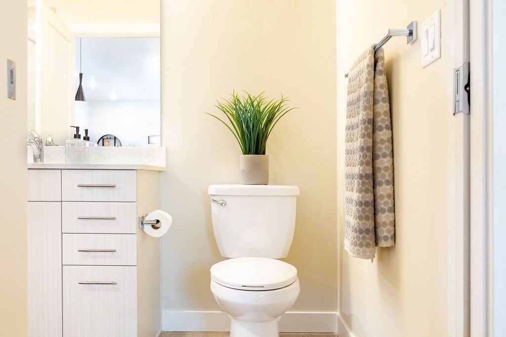 a bathroom with a toilet and a plant on top of it