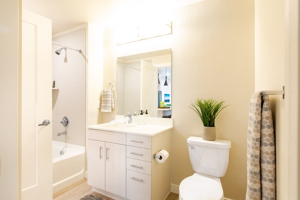 a bathroom with a toilet and a sink and a shower