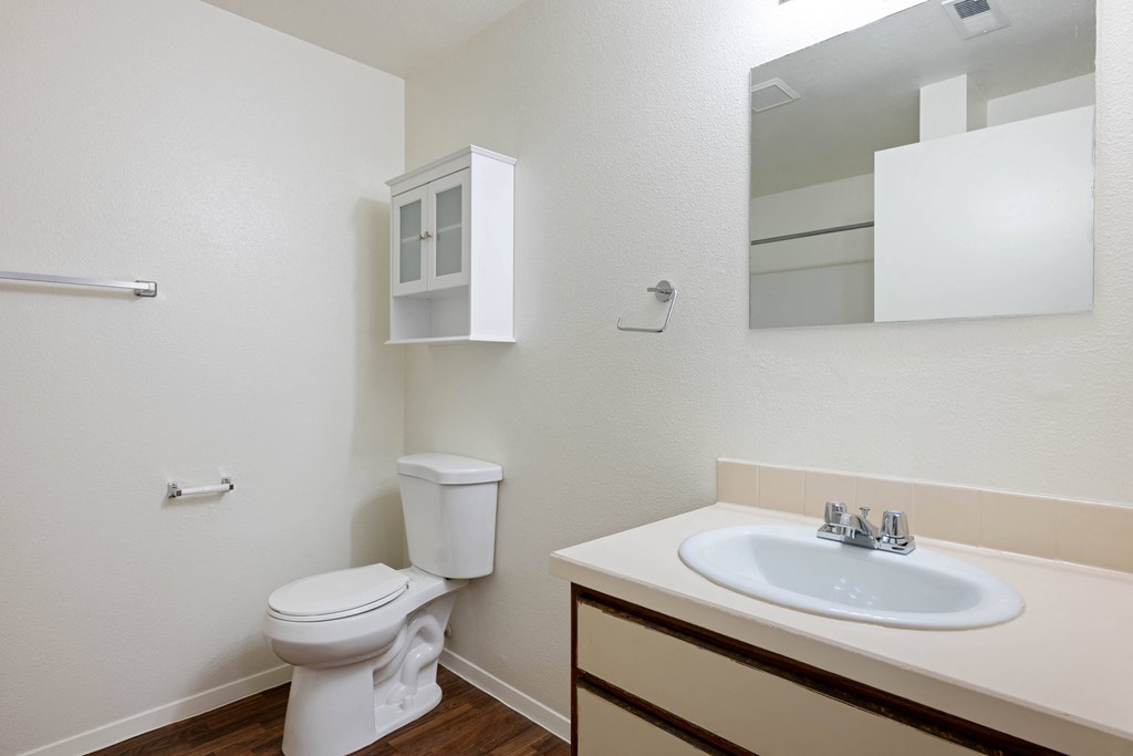the preserve at ballantyne commons bathroom with sink toilet and mirror