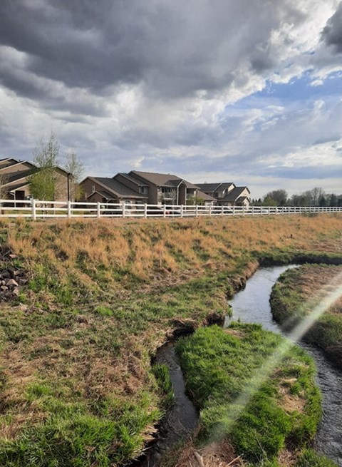 A stream flows through a grassy area with houses in the background.