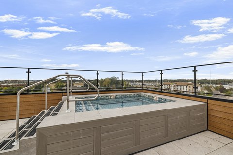 A rooftop pool with a ladder and a view of the city.