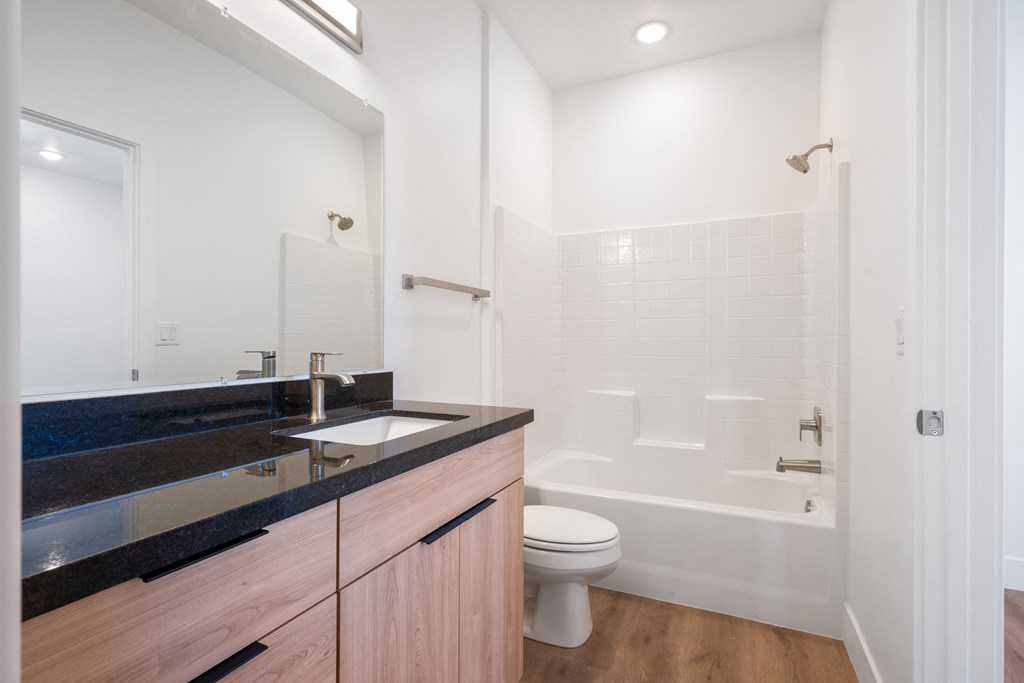 a bathroom with a sink and a toilet and a shower