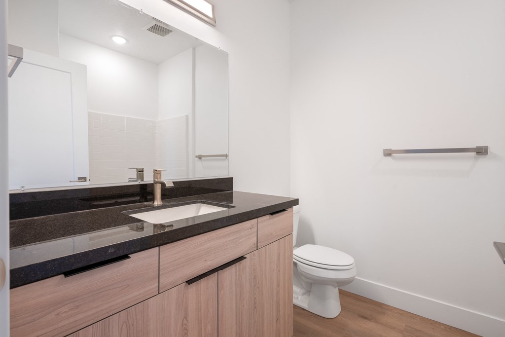 a bathroom with a sink and a toilet